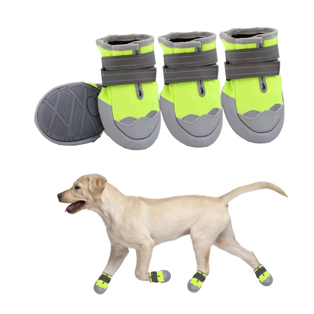 Dog Shoes