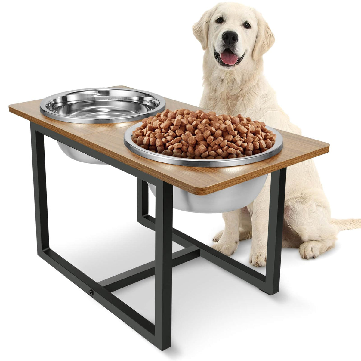 Dog Bowls