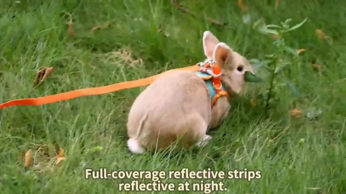 Adjustable Bunny Harness and Leash Set, Rabbit Vest Supplies(Orange S/M)