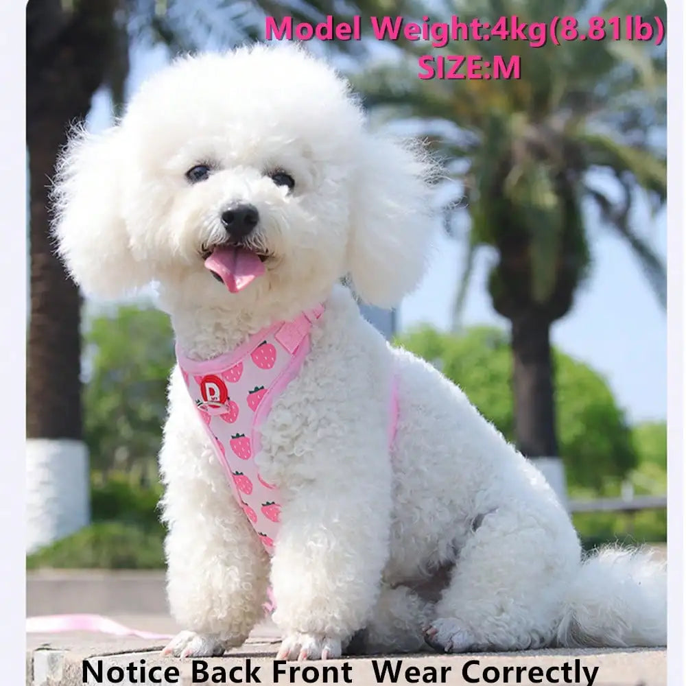 Cute Pet Harness And Leash Set For Small Dogs, Anti-Escape Cat Leash, Adjustable Cat Vest, All Seasons Suitable For Outdoor Walking
