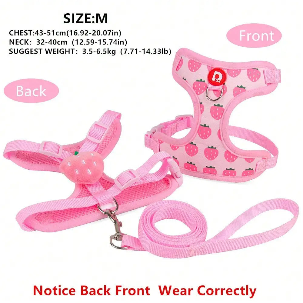 Cute Pet Harness And Leash Set For Small Dogs, Anti-Escape Cat Leash, Adjustable Cat Vest, All Seasons Suitable For Outdoor Walking