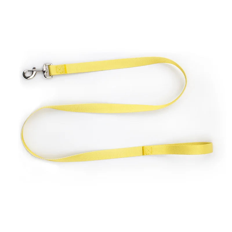 Nylon Adjustable Dog Collar Leash Lead Pet Cat Dog Collar Traction Leash Suitable for Small Large Dogs Bulldog Pugs Beagle