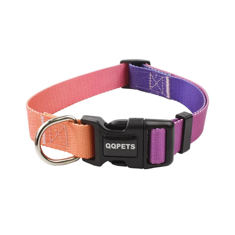 Nylon Adjustable Dog Collar Leash Lead Pet Cat Dog Collar Traction Leash Suitable for Small Large Dogs Bulldog Pugs Beagle