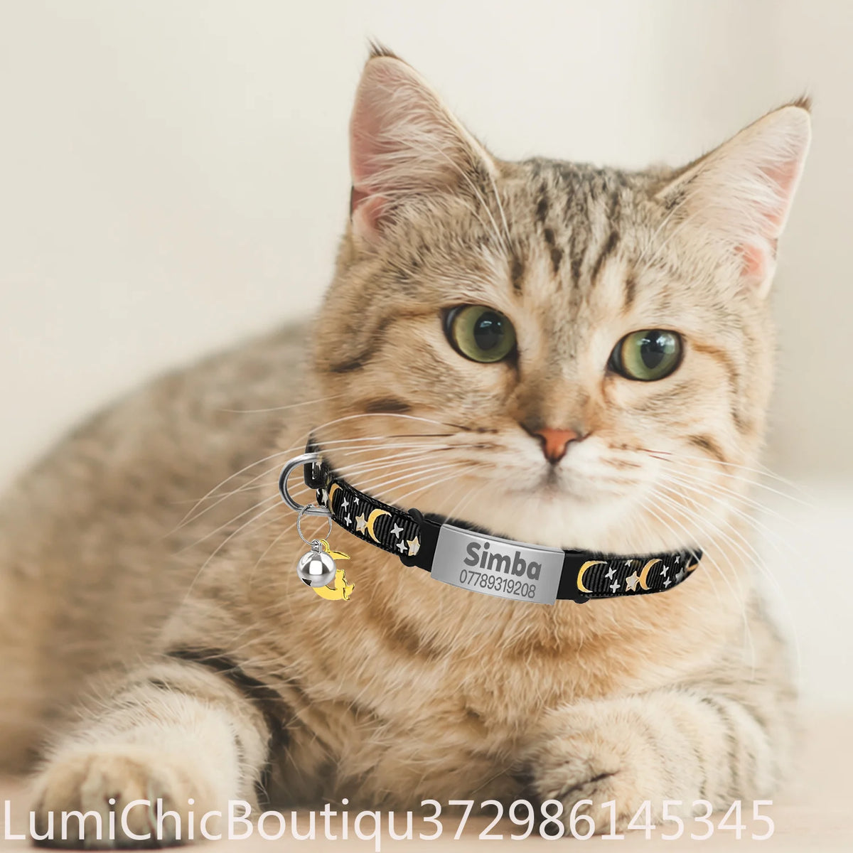 Custom Glow Cat Collar Free Engraved Anti‑Lost Pet ID Nameplate Necklace With Bell Moon Charm For Puppy Kitten Personalized Pet Safety Accessory Supply